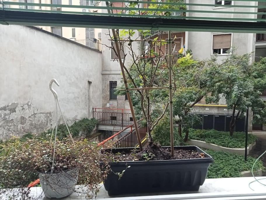 Il Grande Blu Leilighet Milano Eksteriør bilde